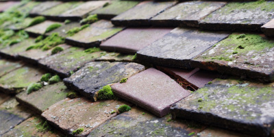 Llanfallteg West roof repair costs